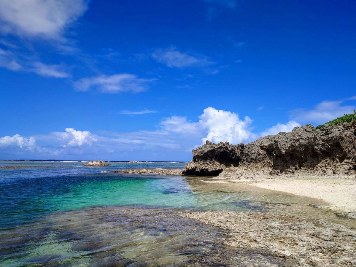 観光地・スポットへの送迎